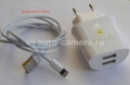 Сетевое зарядное устройство для iPhone 5 / 5S / 5C, iPad 4 и iPad mini Dorten Dual Charger 3.1А (кабель Lightning в комплекте), (DN202001) цвет белый